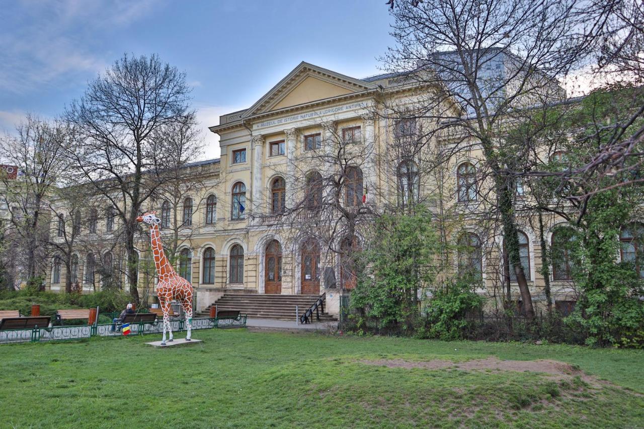 Oak Apartment - Piata Victoriei Bukarest Eksteriør billede