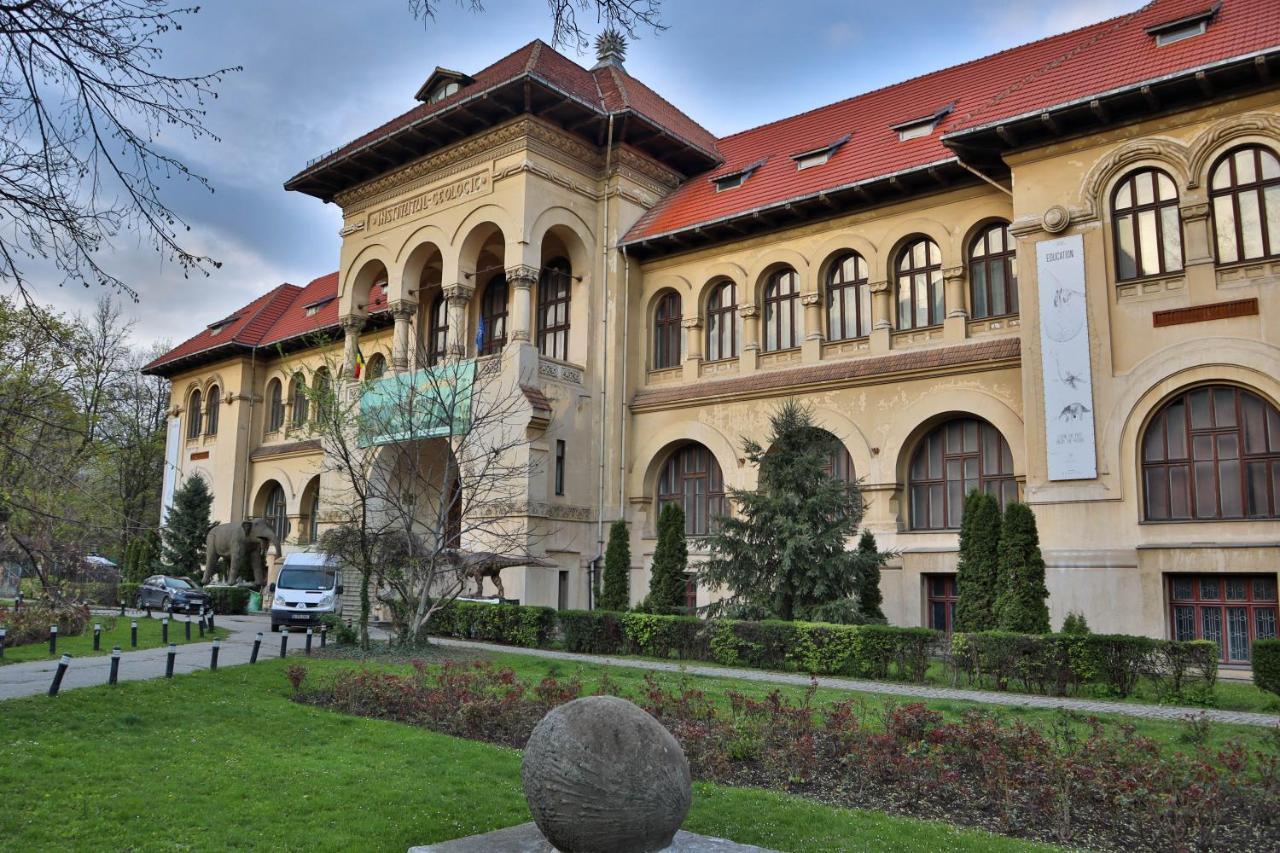 Oak Apartment - Piata Victoriei Bukarest Eksteriør billede
